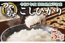 ＜2025年11月発送＞令和7年産コシヒカリ 5kg【S137】