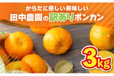 【先行予約】訳ありポンカン 3kg（L~3Lサイズ） 国産 東洋町産 訳あり 甘酸っぱい ジューシー 蜜柑 ミカン 高知県 東洋町 四国 お取り寄せ フルーツ 果物 送料無料 TA11