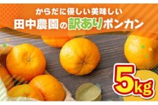 【先行予約】訳ありポンカン 5kg（L~3Lサイズ） 国産 東洋町産 訳あり 甘酸っぱい ジューシー 蜜柑 ミカン高知県 東洋町 四国 お取り寄せ フルーツ 果物 送料無料 TA12