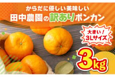 【先行予約】ポンカン 3kg（3Lサイズ） 国産 東洋町産 訳あり 甘酸っぱい ジューシー 蜜柑 ミカン 有機肥料 高知県 東洋町 四国 お取り寄せ フルーツ 果物 送料無料 TA13