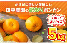 【先行予約】ポンカン 5kg（3Lサイズ） 国産 東洋町産 訳あり 甘酸っぱい ジューシー 蜜柑 ミカン 有機肥料 高知県 東洋町 四国 お取り寄せ フルーツ 果物 送料無料 TA14
