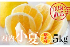 【訳アリ】西内小夏 5kg　N51