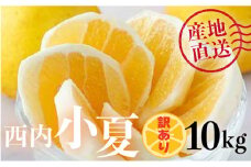 【訳アリ】西内小夏 10kg　N52