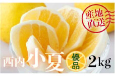 【優品】西内小夏 2kg　N53