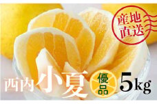 【優品】西内小夏 5kg　N54