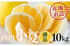 【優品】西内小夏 10kg　N55