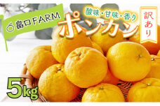 【先行予約】訳ありポンカン＜5kg＞　HT11