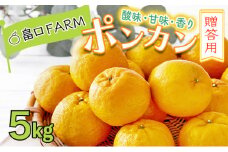 ＜先行予約＞ポンカン【贈答用】5kg　HT13