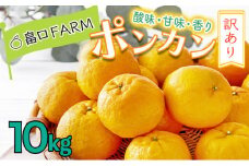 【先行予約】訳ありポンカン＜10kg＞　HT12