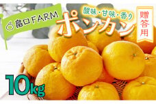 ＜先行予約＞ポンカン【贈答用】10kg　HT14