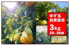 ＜先行予約！＞ゆず玉　3kgセット　期間限定 柑橘 ジューシー 自然栽培 国産 柚子　S164