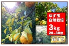 ＜先行予約！＞ゆず玉　3kgセット　期間限定 柑橘 ジューシー 自然栽培 国産 柚子　S164