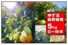 ＜先行予約！＞ゆず玉　5kgセット　期間限定 柑橘 ジューシー 自然栽培 国産 柚子　S165