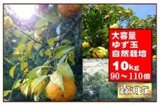 ＜先行予約！＞ゆず玉　10kgセット　期間限定 柑橘 ジューシー 自然栽培 国産 柚子　S166