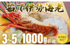 伊勢海老ボイル＜1,000g前後＞ 国産 東洋町産 海鮮 ゆず果汁付き 茹で ボイル 甘み 旨味 四国 お取り寄せ お祝い 記念日 贈り物 送料無料 S171