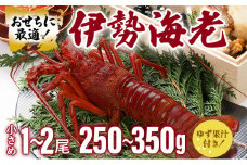 伊勢海老おせちサイズ 1~2尾セット【冷凍】 国産 東洋町産 天然 新鮮 海鮮 ゆず果汁付き 刺身 焼き ボイル 生 四国 お取り寄せ お祝い 記念日 贈り物 お正月 送料無料 生 S184