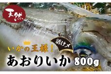 【冬限定】活け〆超鮮度！あおりいか 800g 国産 イカ 鮮魚 高知県 東洋町 四国 お取り寄せ 送料無料 急速冷凍 限定商品 M178