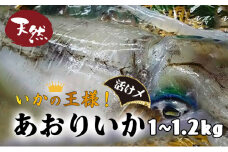 【冬限定】活け〆超鮮度！あおりいか 1kgUP！ 国産 イカ 鮮魚 高知県 東洋町 四国 お取り寄せ 送料無料 急速冷凍 限定商品 M180