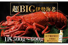 超BIG伊勢海老＜1匹＞【冷凍】刺身OK 国産 東洋町産 天然 新鮮 海鮮 四国 お取り寄せ お祝い 記念日 贈り物 送料無料 生 S201