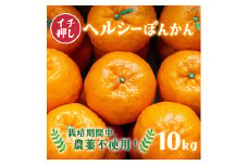 F139　ヘルシーぽんかん10kg　ポンカン ぽんかん 国産 東洋町産 オレンジ 蜜柑 ミカン 果物 フルーツ 甘い 酸味 ジューシー 完熟 高知県 四国 お取り寄せ 贈答 贈り物 ギフト 内祝 家庭用 自宅用