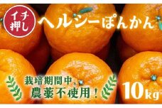 F139　ヘルシーぽんかん10kg　ポンカン ぽんかん 国産 東洋町産 オレンジ 蜜柑 ミカン 果物 フルーツ 甘い 酸味 ジューシー 完熟 高知県 四国 お取り寄せ 贈答 贈り物 ギフト 内祝 家庭用 自宅用