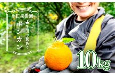 ＜先行予約＞生田の訳ありポンカン【10kg】 国産 東洋町産 訳アリ 甘い コク ジューシー 果肉 高知県 東洋町 四国 お取り寄せ フルーツ 果物 家庭用 自宅用 送料無料 I16