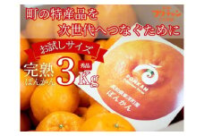 【先行予約】完熟ぽんかん＜3kg＞　F140