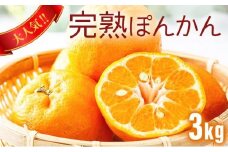 【先行予約】完熟ぽんかん＜3kg＞　F140