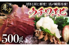 活〆ウチワエビ3~5匹 500gセット＜数量限定＞ 国産 東洋町産 セット うちわえび 新鮮 海鮮 高知県 東洋町 四国 お取り寄せ 送料無料 S211
