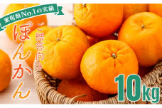 「先行予約」東洋町の完熟ポンカン＜10kg＞　U109