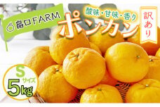 【先行予約】訳ありちびポンカン ＜5kg＞ Sサイズ　HT15