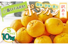 【先行予約】訳ありちびポンカン ＜10kg＞ Sサイズ　HT16