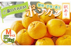 【先行予約】訳ありポンカン ＜5kg＞ Mサイズ　HT17