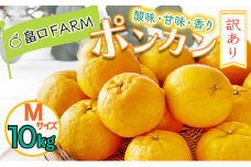 【先行予約】訳ありポンカン ＜10kg＞ Mサイズ　HT18