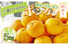 【先行予約】訳ありポンカン ＜5kg＞ サイズ混合　HT19