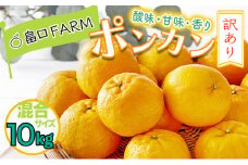 【先行予約】訳ありポンカン ＜10kg＞ サイズ混合　HT20