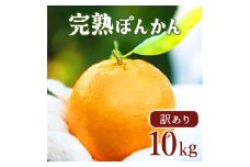 【先行予約】訳アリ完熟ぽんかん＜5kg＞×2箱セット10kg 国産 東洋町産 訳あり 甘酸っぱい 甘い 蜜柑 ミカン ジューシー 高知県 東洋町 四国 お取り寄せ フルーツ 果物 送料無料 産地直送 F143
