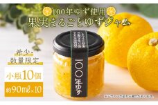 果実まるごとゆずジャム 小瓶10本セット 約90ml×10（小瓶タイプ）国産 東洋町産 ゆず ユズ 柑橘 果物 フルーツ フルーツジャム ジャム コンフィチュール 甘い 酸味 ジューシー 果肉 高知県 四国 お取り寄せ 家庭用 自宅用 送料無料 S003