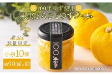 果実まるごとゆずジャム 小瓶10本セット 約90ml×10（小瓶タイプ）国産 東洋町産 ゆず ユズ 柑橘 果物 フルーツ フルーツジャム ジャム コンフィチュール 甘い 酸味 ジューシー 果肉 高知県 四国 お取り寄せ 家庭用 自宅用 送料無料 S003