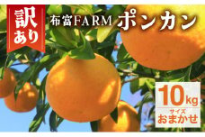 訳ありポンカン　サイズおまかせ  10kg　NT1