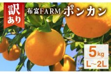 【先行予約】訳ありポンカン　L〜２Lサイズ　5kg　NT2