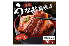 国産うなぎカット大 合計200g（100g×2袋）《着日指定可能》ウナギ 鰻 高知県 東洋町 四国 お取り寄せ 家庭用 自宅用 贈り物 ギフト タレ・山椒付き うな重 鰻丼 うな丼 うな茶漬け 【送料無料】U009