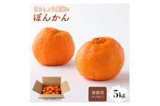 ＜先行予約＞家庭用（キズあり）ぽんかん 5㎏　MS1