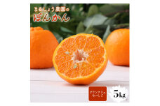 ＜先行予約＞ぽんかん【グランクリュなべしこ】 5㎏　MS3