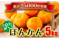 「先行予約」訳アリ 東洋町ポンカン＜5kg＞　U110
