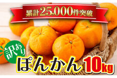 「先行予約」訳アリ 東洋町ポンカン＜10kg＞　U111