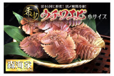 【ふるさと納税】ウチワエビ(小) 天然ほんまもん！ 500g(6~7匹前後) 国産 東洋町産 天然 新鮮 海鮮 刺身 焼き ボイル 四国 お取り寄せ お祝い 記念日 贈り物 送料無料 S243