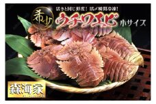 【ふるさと納税】ウチワエビ(小) 天然ほんまもん！ 1000g(12~14匹前後) 国産 東洋町産 天然 新鮮 海鮮 刺身 焼き ボイル 四国 お取り寄せ お祝い 記念日 贈り物 送料無料 S244