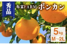 NT2-7-01【kg数が選べる】 ＜秀品ポンカンM〜2L　5kg＞
