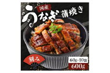 国産うなぎ蒲焼きざみ   合計600g（60×10袋）《着日指定可能》ウナギ 鰻 国産 高知県 東洋町 四国 お取り寄せ 家庭用 自宅用 贈り物 ギフト タレ・山椒付き うな重 鰻丼 うな丼 うな茶漬け 年内 配送【送料無料】U011
